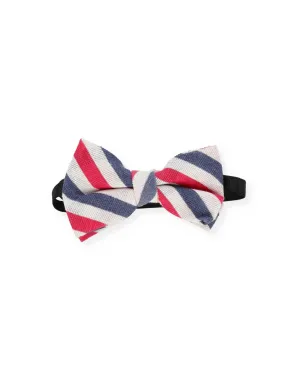 MULTI COLOR BOW TIE